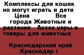 Комплексы для кошек, но могут играть и дети › Цена ­ 11 900 - Все города Животные и растения » Аксесcуары и товары для животных   . Краснодарский край,Краснодар г.